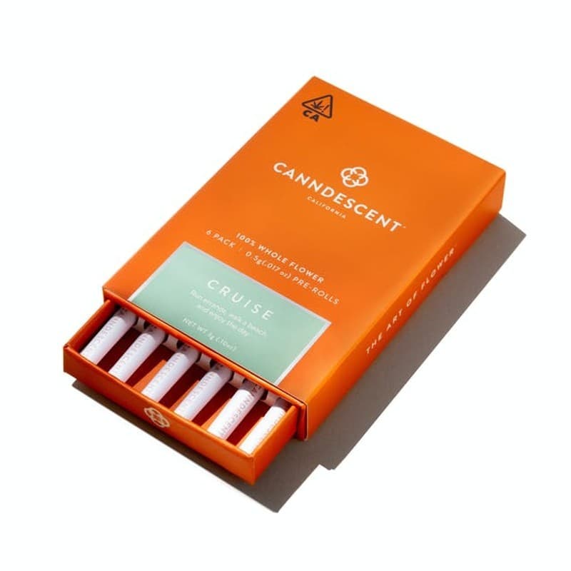 Canndescent | Cruise 211 | 3G Mini PR 6pk
