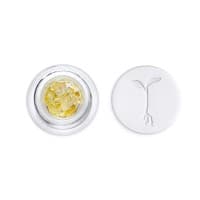 Raw Garden | Galaxy Walker | 1G Live Resin Diamonds