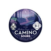 Camino | Sour Blackberry Dream 10:3 CBN | 10PK Infused Gummies