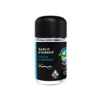 Glass House | Garlic Starship | 3.5G