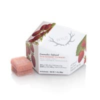 WYLD | Strawberry CBD | 10PK Infused Gummies