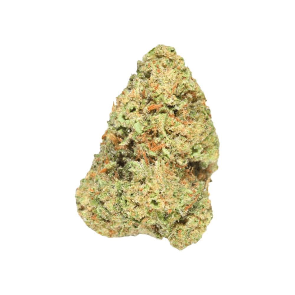 Alien Labs | Area 41 | 3.5G Outdoor