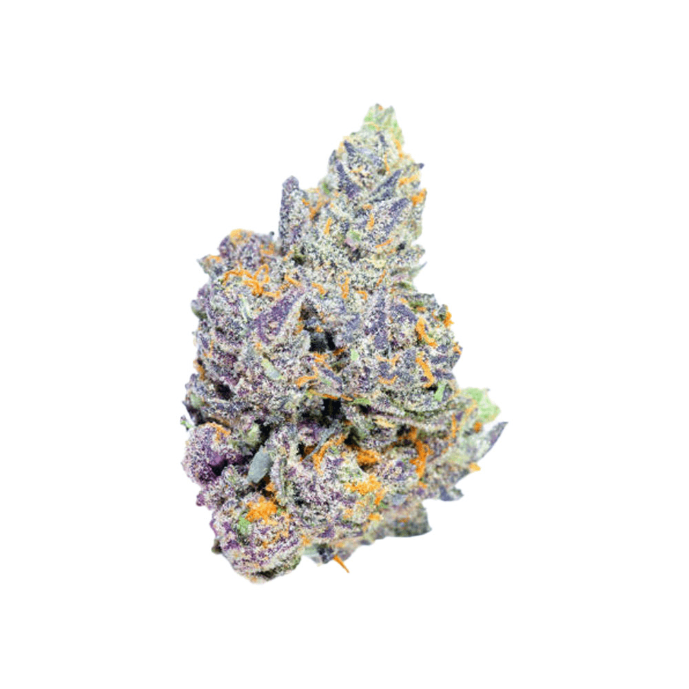 Alien Labs | Sherbacio | 3.5G | Indoor 