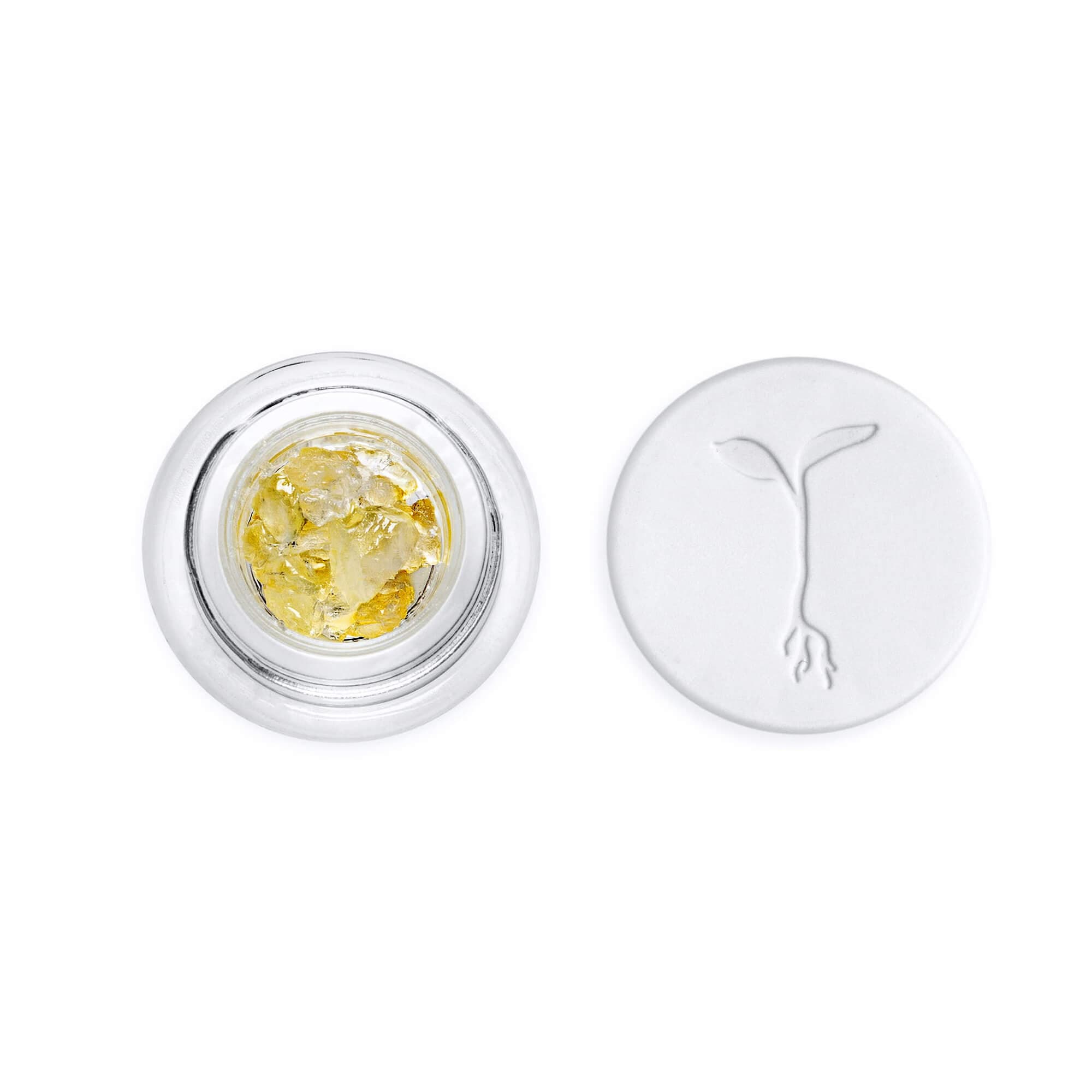 Raw Garden | Dream Walker | 1G LR Diamonds
