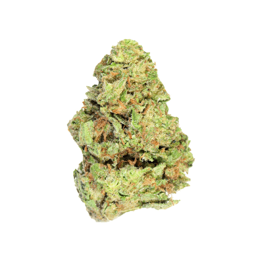 Alien Labs | Xeno | 3.5G Outdoor