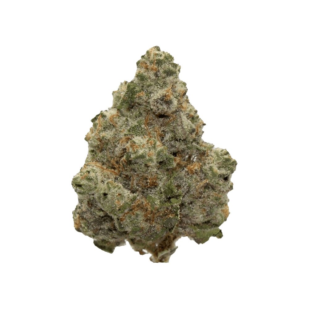 Alien Labs | Atomic Apple | 3.5G Outdoor