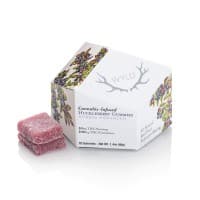 WYLD | Huckleberry | 10PK Infused Gummies 