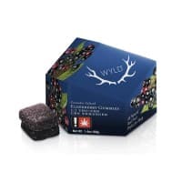 WYLD | Elderberry CBN:THC | 10PK Infused Gummies