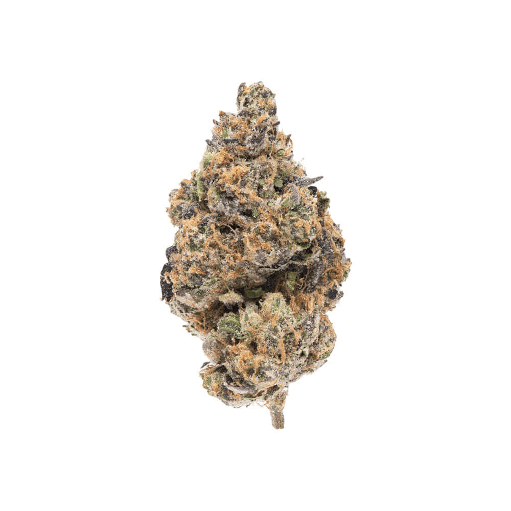 Archive | Moonbow | 3.5G Indoor