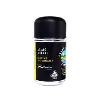Glass House | Lilac Diesel | 3.5G