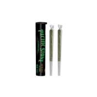 Pacific Stone | 805 Glue | 1G 2PK PR