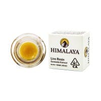 Himalaya | Gelato 41 Sugar | 1G
