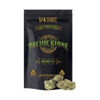 Pacific Stone | 805 Glue | 7.0G