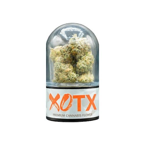 XOTX | Jungle Fruit | 3.5G