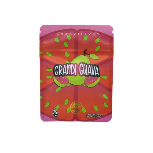 Grandiflora | Grandi Guava | 3.5G