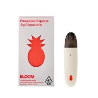 Bloom Surf | Pineapple Express | .5G Disposable