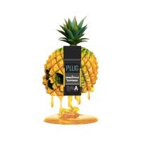 Plug N Play | Pineapple Express | 1G | DNA Vape 