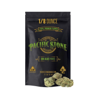 Pacific Stone | 805 Glue | 3.5G
