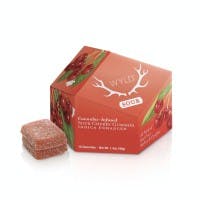 WYLD | Sour Cherry | 10PK Infused Gummies 