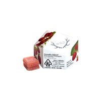 Wyld | Strawberry CBD Gummy | 10PK