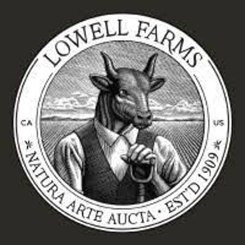 Lowell Farms | Black Forest Cake | 4G