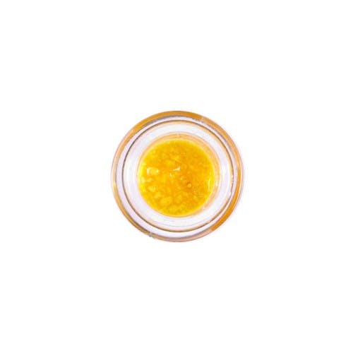 Connected | Biscotti x Gushers | 1G Living Soil Sauce